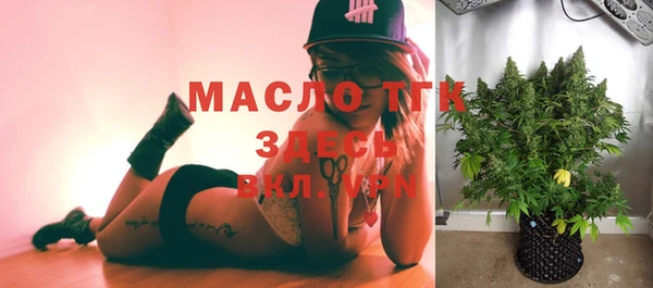 сатива Белоозёрский