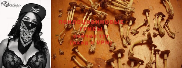 ALPHA PVP Беломорск
