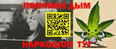 хмурый Сланцы