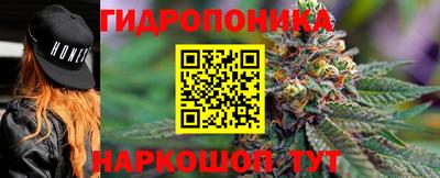 хмурый Сланцы