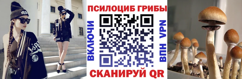 Галлюциногенные грибы мицелий  Свободный 