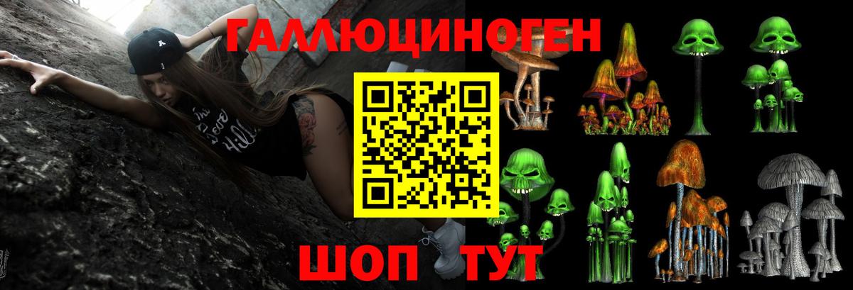 Галлюциногенные грибы GOLDEN TEACHER Свободный